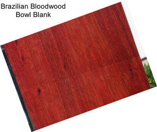 Brazilian Bloodwood Bowl Blank