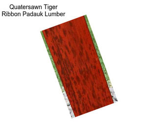 Quatersawn Tiger Ribbon Padauk Lumber