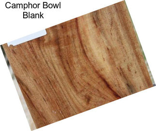 Camphor Bowl Blank