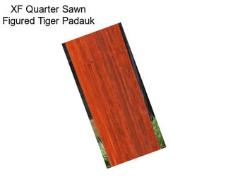 XF Quarter Sawn Figured Tiger Padauk