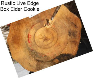 Rustic Live Edge Box Elder Cookie