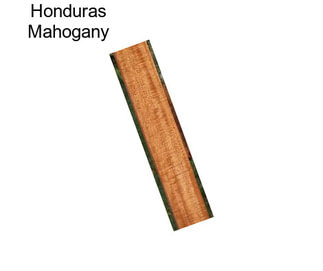 Honduras Mahogany