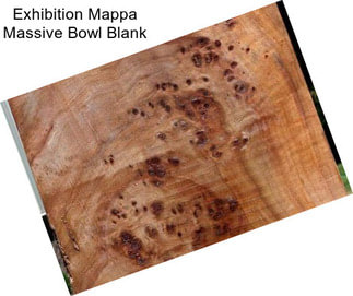 Exhibition Mappa Massive Bowl Blank