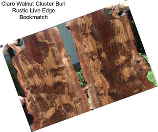 Claro Walnut Cluster Burl Rustic Live Edge Bookmatch