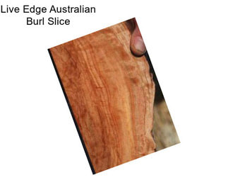 Live Edge Australian Burl Slice