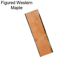 Figured Western Maple