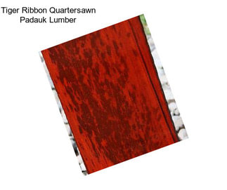 Tiger Ribbon Quartersawn Padauk Lumber