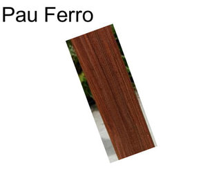 Pau Ferro