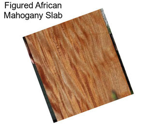 Figured African Mahogany Slab