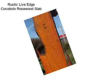 Rustic Live Edge Cocobolo Rosewood Slab