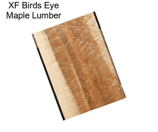 XF Birds Eye Maple Lumber