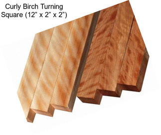 Curly Birch Turning Square (12” x 2” x 2”)