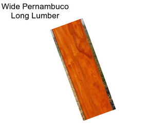 Wide Pernambuco Long Lumber