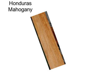 Honduras Mahogany