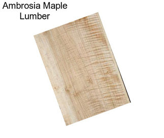 Ambrosia Maple Lumber