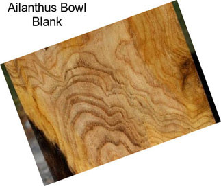 Ailanthus Bowl Blank