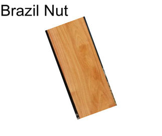 Brazil Nut