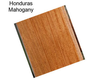 Honduras Mahogany