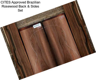 CITES Approved Brazilian Rosewood Back & Sides Set