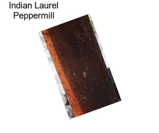 Indian Laurel Peppermill
