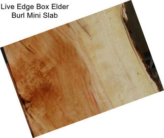 Live Edge Box Elder Burl Mini Slab