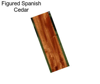 Figured Spanish Cedar