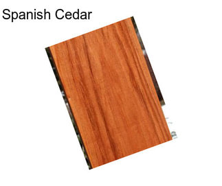 Spanish Cedar