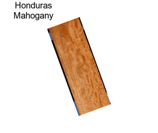 Honduras Mahogany