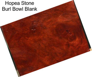 Hopea Stone Burl Bowl Blank
