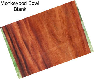 Monkeypod Bowl Blank