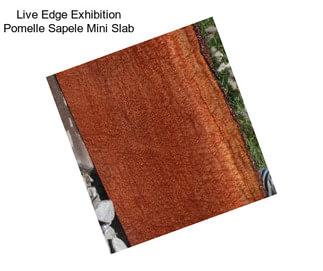 Live Edge Exhibition Pomelle Sapele Mini Slab