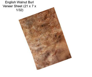 English Walnut Burl Veneer Sheet (21\