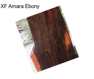 XF Amara Ebony