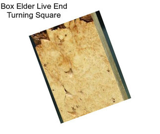 Box Elder Live End Turning Square