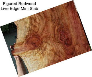 Figured Redwood Live Edge Mini Slab