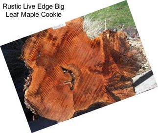 Rustic Live Edge Big Leaf Maple Cookie