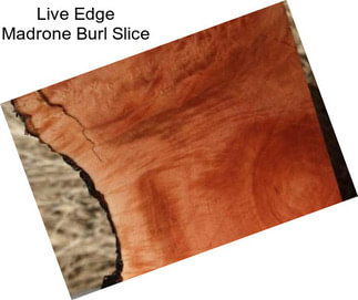 Live Edge Madrone Burl Slice