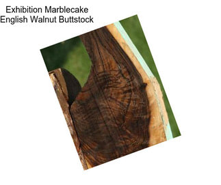 Exhibition Marblecake English Walnut Buttstock