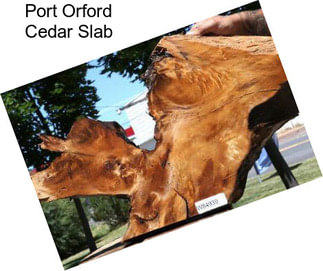 Port Orford Cedar Slab