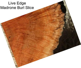 Live Edge Madrone Burl Slice