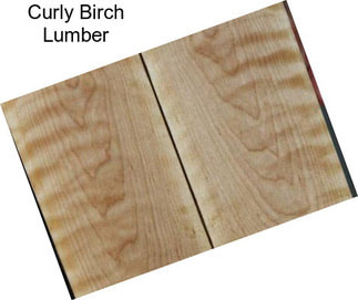 Curly Birch Lumber