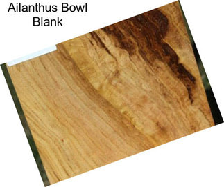 Ailanthus Bowl Blank