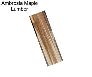 Ambrosia Maple Lumber