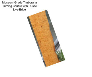 Museum Grade Timborana Turning Square with Rustic Live Edge