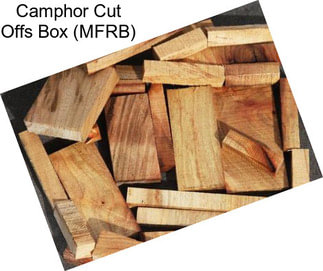 Camphor Cut Offs Box (MFRB)