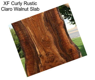 XF Curly Rustic Claro Walnut Slab