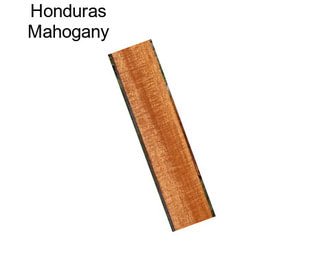 Honduras Mahogany