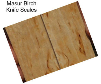 Masur Birch Knife Scales