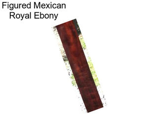 Figured Mexican Royal Ebony