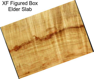 XF Figured Box Elder Slab
